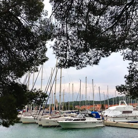 Bosotina *